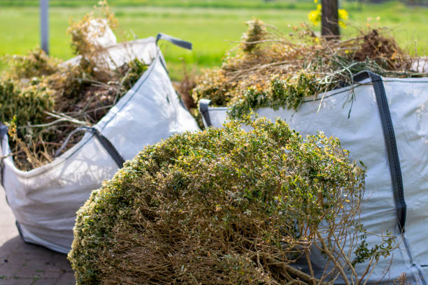Best Local Junk Hauling  in Darien, GA